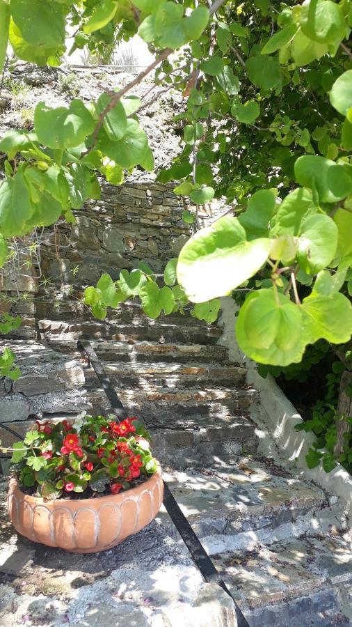 Endless Blue Home Agios Ioannis (Thessaly) Exterior foto