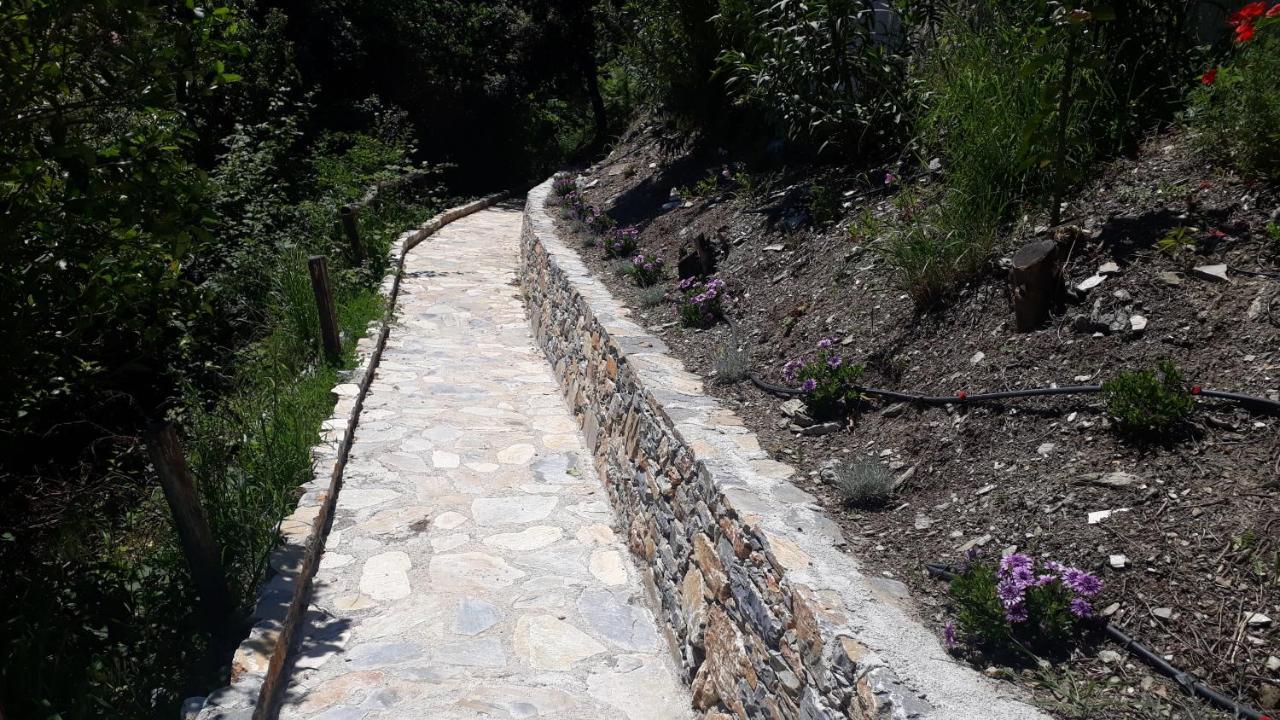 Endless Blue Home Agios Ioannis (Thessaly) Exterior foto